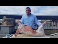 Download Lagu MEAT on the GRILL.