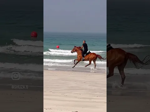 @shuza.s #fuxury #dubai #horse #horseriding