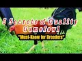 Five Things You Should Know About Quality Roosters Full Guide to Traits and Care