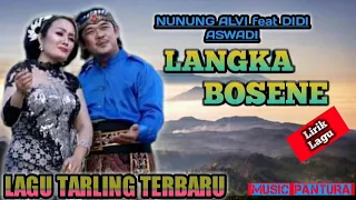 nunung alvi feat didi aswadi langka bosene 