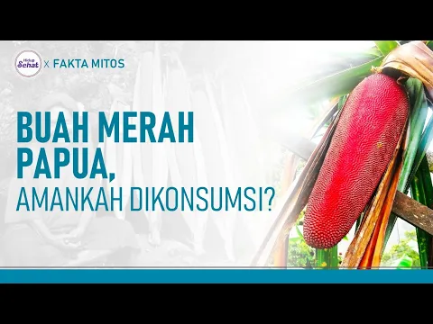 Buah Merah Papua, Apa Saja Manfaatnya?