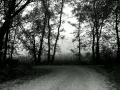 Download Lagu Mystical Mist