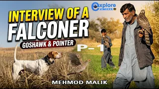 Falconry in Action: Goshawk, Pointer Dog, and Falconer Field Guide / Interview @ExplorePotohar