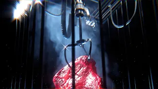 Carlos Edwards ANIMAL Visualizer 