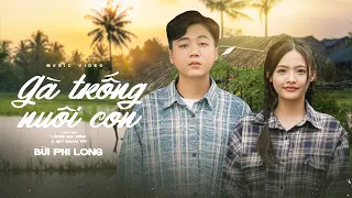 Gà trống nuôi con