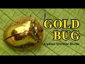 Gold Bug Golden Tortoise Beetle Insects Kannappan Ashary