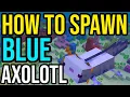 How To Spawn Blue Axolotl In Minecraft PE