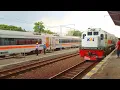 Download Lagu SYAHDU Lagu Gambang Semarang Iringi Kedatangan Kereta Api di Stasiun Tegal