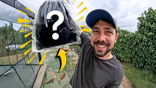 CHEGARAM OS NOVOS MORADORES DO LAGO ! 😱