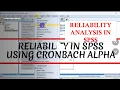 Reliability Analysis in SPSS - A STEP-BY-STEP APPROACH