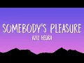 Aziz Hedra - Somebody's Pleasure (Lyrics)