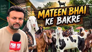 Mateen Bhai’s Gujri, Ajmera Goats available at HS Farm Padgha