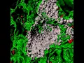 D rendering of the Z-stacks showing the AT1 cell surfaces using Imaris software