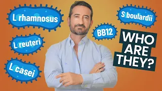Which Probiotic Strain is Best for You Probiotic Guide 2023