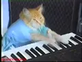 hard piano