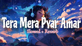 tera mera pyar amar slowed reverb evergreen old lofi song lata mangeshkar sam lofi lyrics
