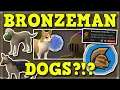 Official Bronzeman Mode Pet Dogs OSRS