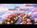 Download Lagu 許願流星花園，聽出你的璀璨人生！每天聽一次，好事如流星雨般降臨｜越聽越強大，越活越精彩｜吸引力法則調頻能量音樂
