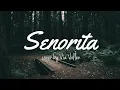 Download Lagu Lirik Lagu Via Vallen - Senorita ( Shawn Mendes ft Camila Cabello ) [ cover Koplo Version ]