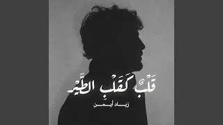 قلب كقلب الطير 