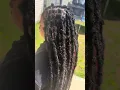 Red and black pink peekaboo 26 Inch Soft Locs
