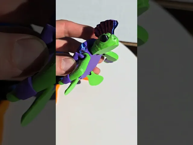 Flexi Punk Rock Sea Turtle video thumbnail
