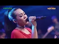Download Lagu New Pallapa - Cemara Biru - Devi aldiva