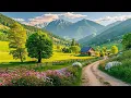 Download Lagu Beautiful Relaxing Music🌿Stop Overthinking, Stress Relief, Deep Sleep Music, Calming Music