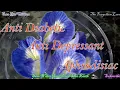 Download Lagu Amazing Aparajita / Sangu Poo / Clitoria - Anticancerous, Antidiabetic - recipe