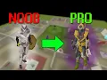 UIM Player Owned House Tips OSRS