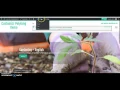Customizr Pro Theme - Polylang Plugin