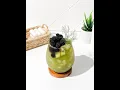 Download Lagu PANDAN COOLER - My Blue Tea