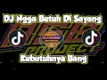 Download Lagu DJ GAK BUTUH DI SAYANG KU BUTUHNYA UANG!! Viral di Tiktok - Brewog Music