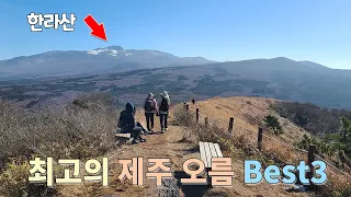 👍최고의 제주 오름 Best3 👀세곳만 알면 다른 오름 안가도 될 정도 ⛰작은 한라산 노꼬메오름 ⛰오름 전시장 동검은이오름 ⛰가성비 최고 금산 썸네일