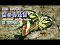 02-091   雨の御堂筋   音圓  42604