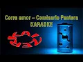 Corre amor-Comisario Pantera (karaoke)
