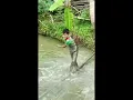 Download Lagu Video video lucu nyungsep #funny #funnyvideo #funnyvideos #viral #lucu #ngakak #funnymoments