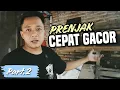 Lagu CARA MENAIKAN BIRAHI BURUNG PRENJAK AGAR CEPAT GACOR part.2