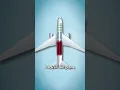 Download Lagu The Plane That Crashed On Purpose 😱 (EXPLAINED)