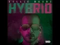 Download Lagu Collie Buddz - Hybrid [Full Album]