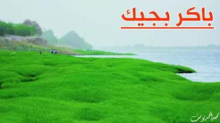 باكر بجيك قاطع مسافات العشم دندنها