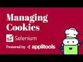 Managing Cookies with Selenium Java - Test Automation Cookbook
