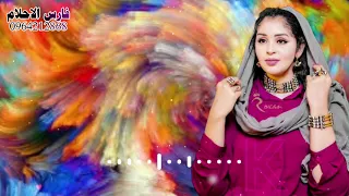 الفنان خالد شبشة 