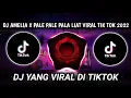 DJ AMELIA X PALE PALE PALA LIAT VIRAL TIK TOK TERBARU 2021