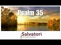 Download Lagu PSALM 35 - CHR. MANK. 'SALVATORI'  o.l.v. MARCEL V/D KETTERIJ / MANK. BEWERKING : KLAAS JAN MULDER.