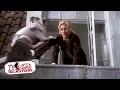 Download Lagu Oddball Puppy Trouble | (5/15) Movie Scenes | 102 Dalmatians (2000) HD