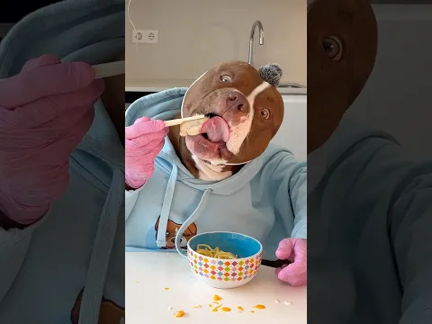 Choco is The Ramen Hero 🍜🦸‍♂️