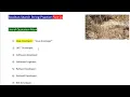 Part 01 Boolean search string practice