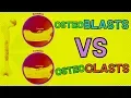 Osteoblasts vs Osteoclasts HOW DO THEY BOTH FUNCTION Bone Remodeling