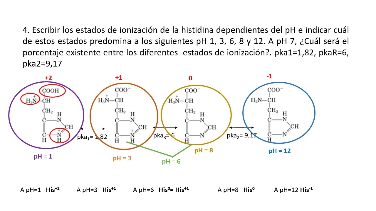 Ionización de aminoácidos y péptidos parte 2 - Ejercicios seminario